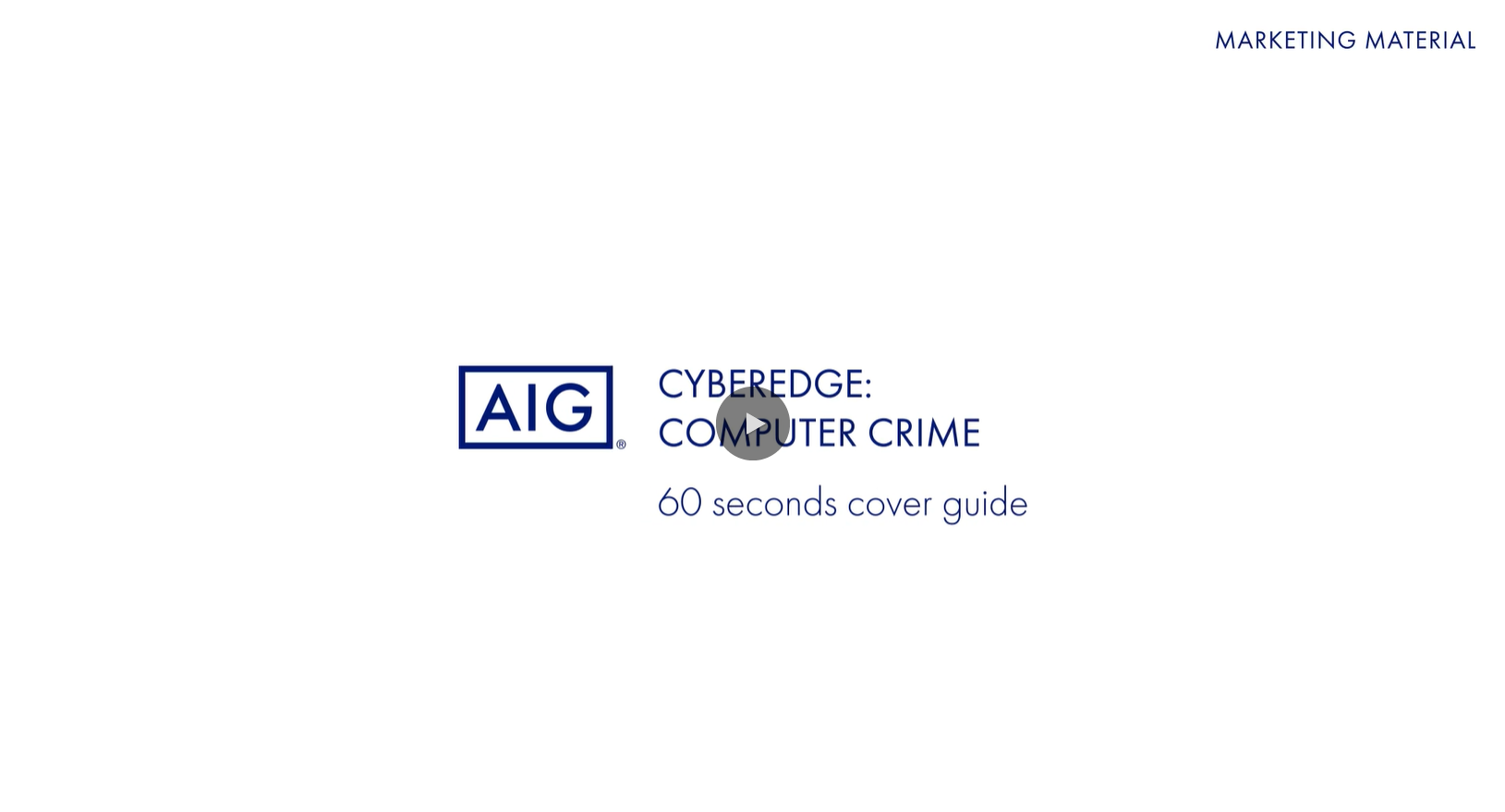 video cyber animation module computer crime